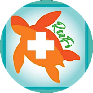 Logo (1)