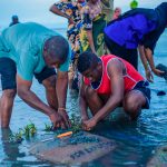 Seagrass planting