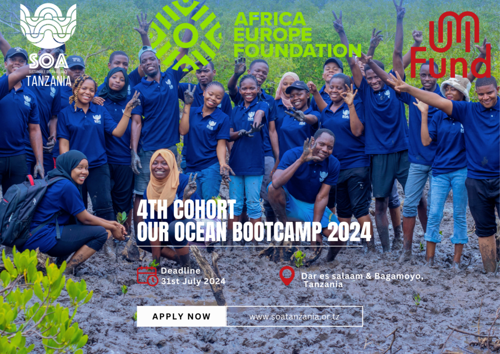 🌊 Call for Applications: Join our Ocean Bootcamp 2024 and Become an activist! 🌊